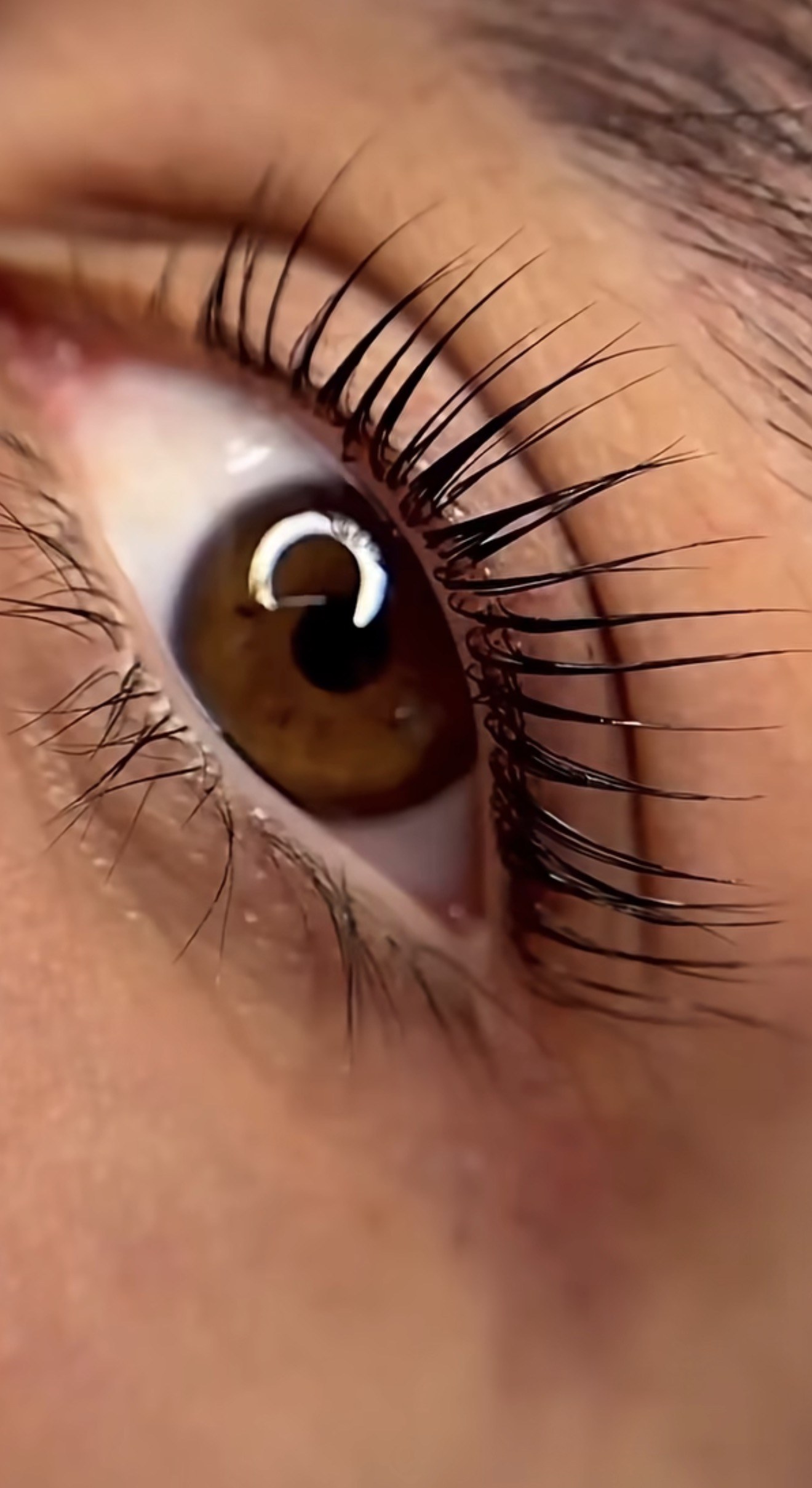 Lash Lifting Ergebnis